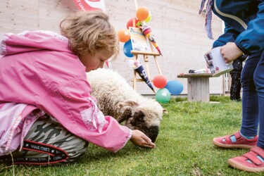 Ein kleiner Mädchen, dass bei einem Fest ein Schaf füttert.