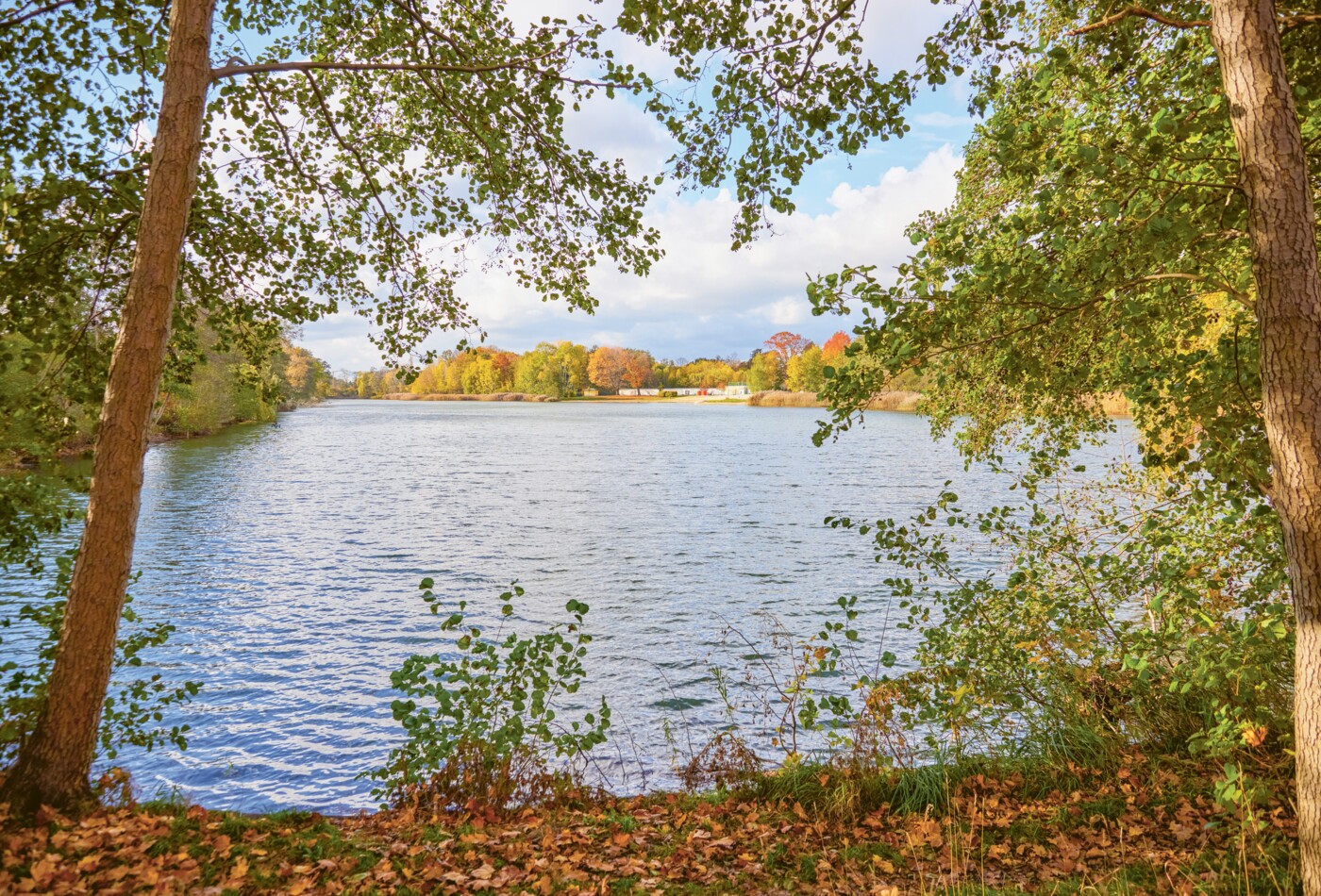 Links und rechts ein Baum und ein direkter blick auf einen See