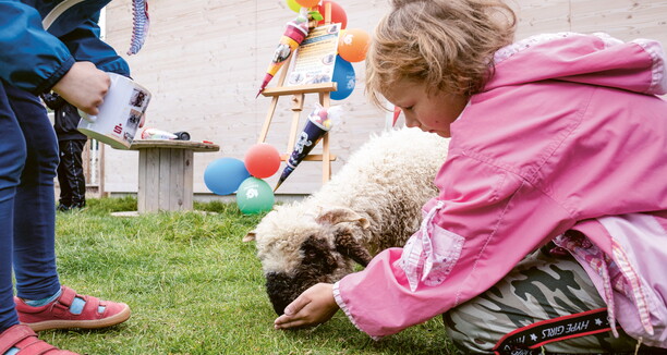 ein Kind füttert ein Schaf mit schwarzer Schnauze