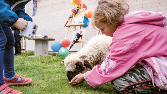ein Kind füttert ein Schaf mit schwarzer Schnauze