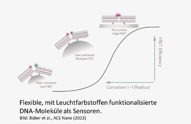 Abbildung von Flexiblen, mit Leuchtfarbstoffen funktionalisierte DNA-Moleküle aus Sensoren.