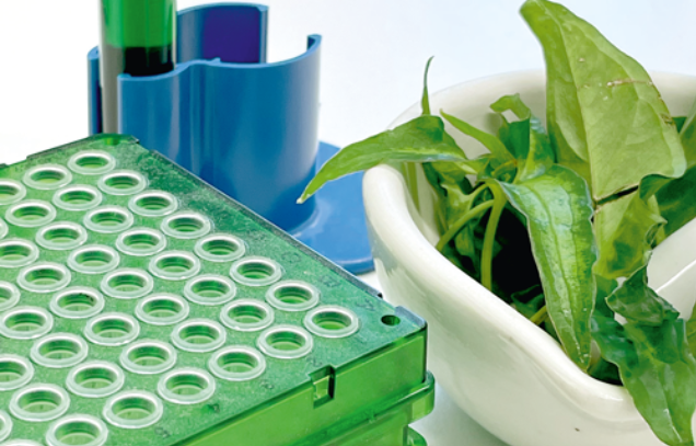 Eine Anordnung von Laborgegenstände. In einem Behälter befinden sich Blätter.