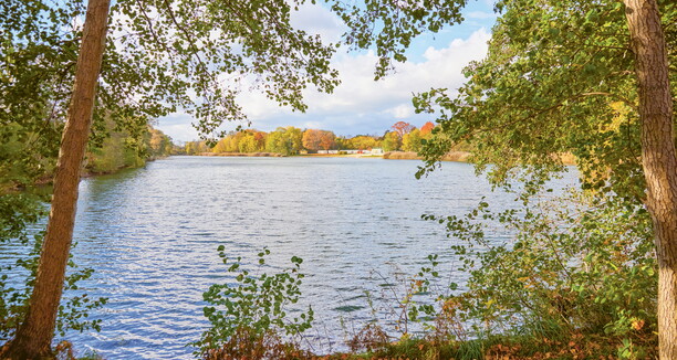 Links und rechts ein Baum und ein direkter blick auf einen See