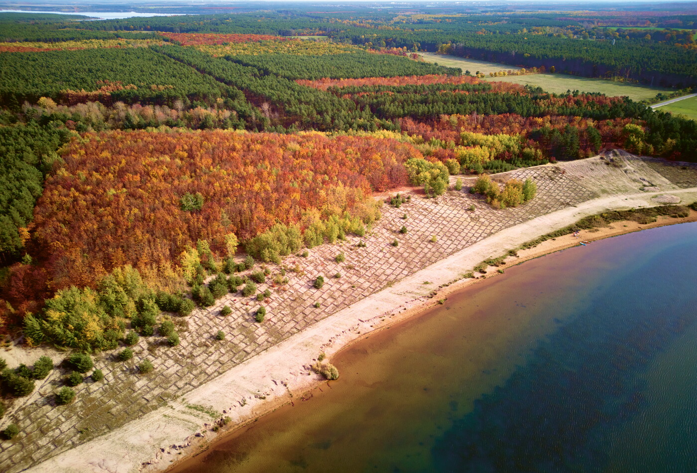 Draufsicht auf die Natur